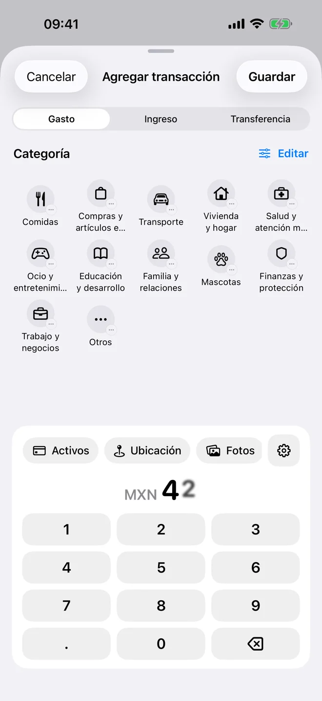 Registro rápido con monto, categoría y detalles opcionales