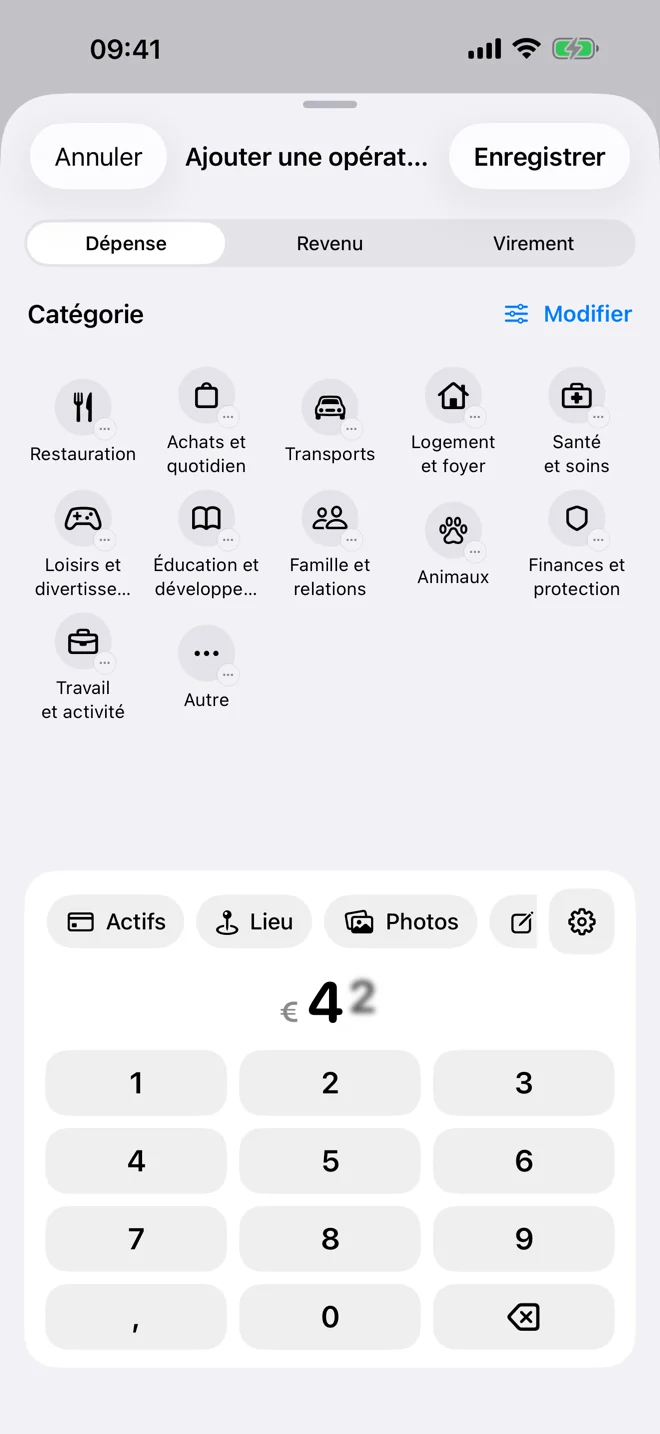 Saisie rapide avec montant, catégorie et informations facultatives